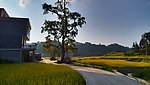 广西南丹县风光