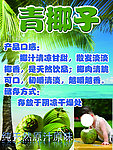 青椰子