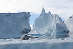 冰山 冰川 南极