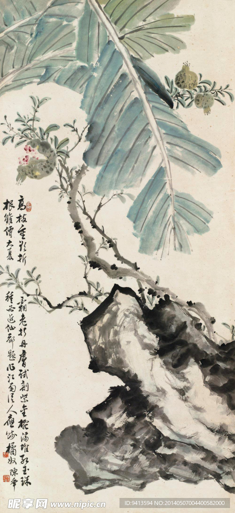 芭蕉石榴