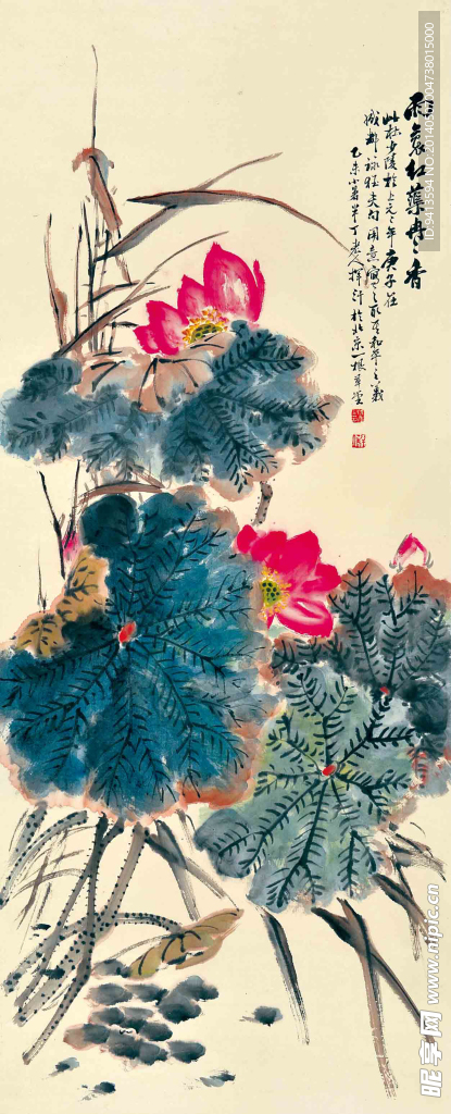 荷花