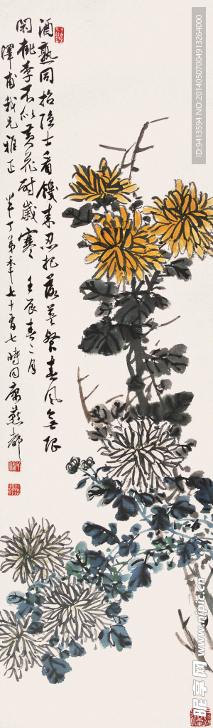 菊花
