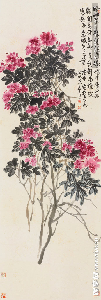 天竺