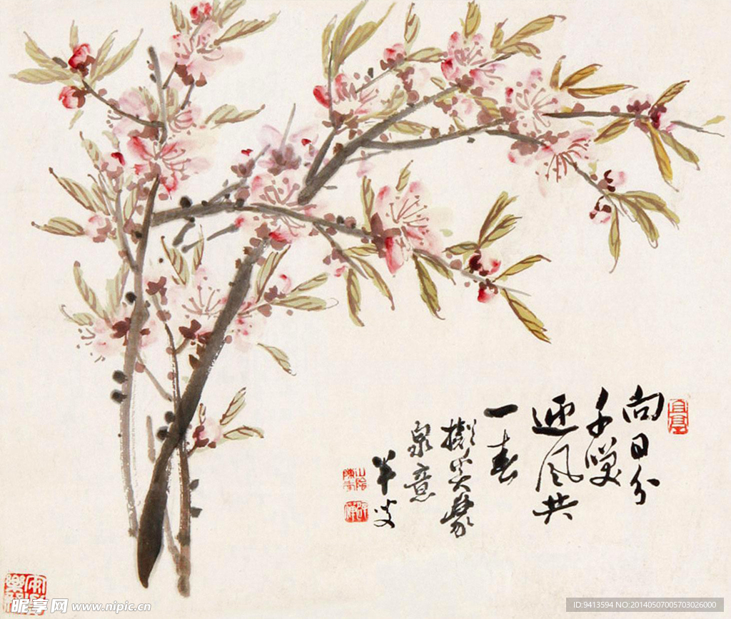 杏花