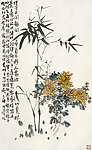 竹菊