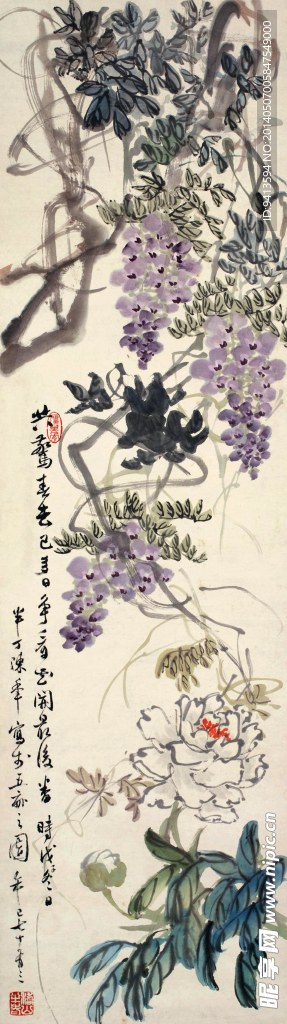紫藤牡丹