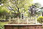 琴台小院