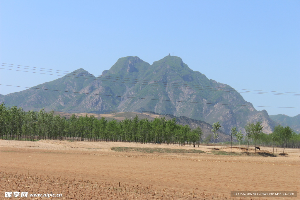 田地