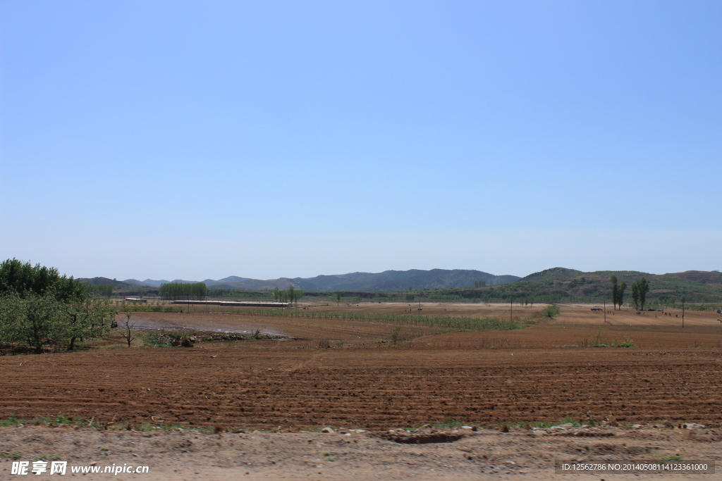 田地