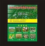 园林 绿化 名片