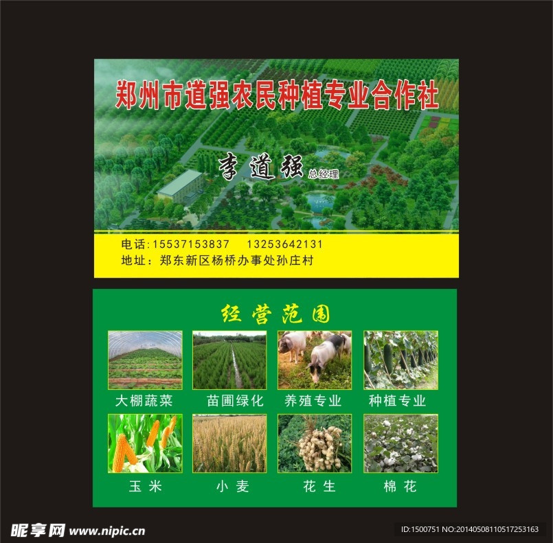园林 绿化 名片