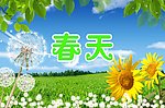春天