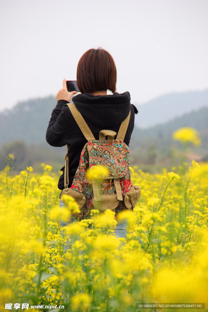 菜花女孩