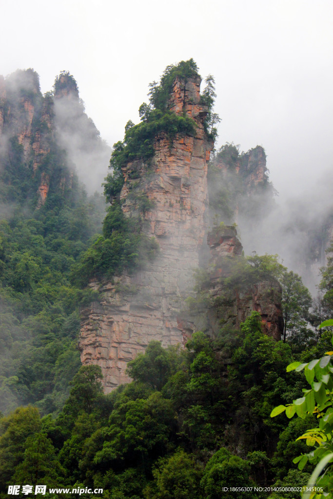 雾中的山