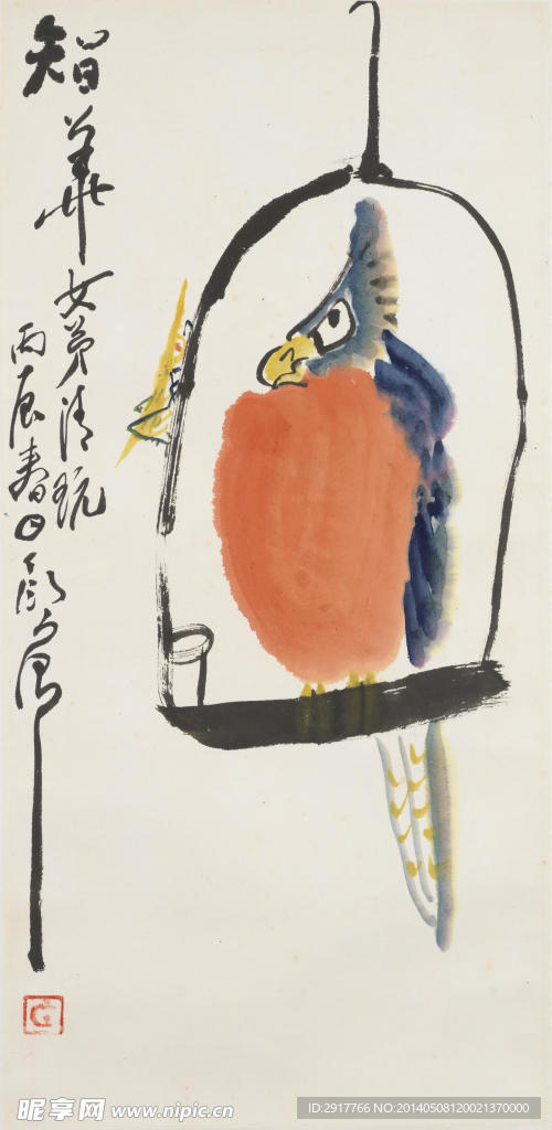鹦鹉