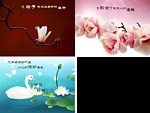 母亲节