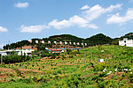 本味景区
