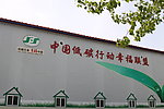 思诺恩