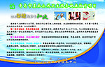 以水保键的养生秘诀