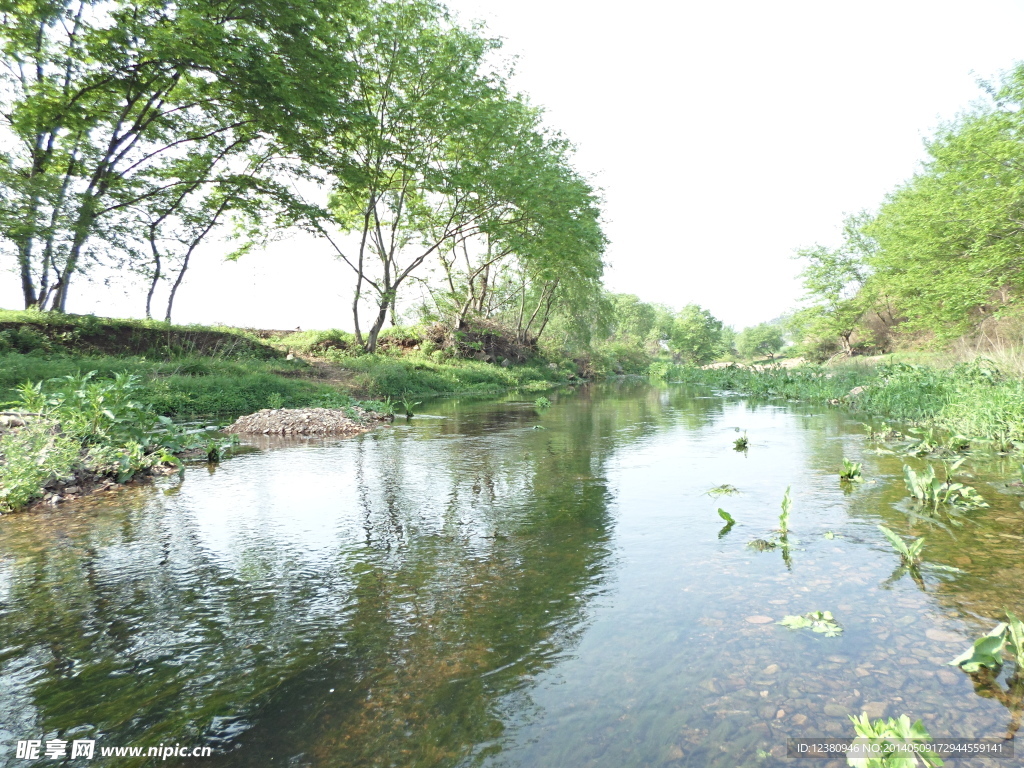 小河河岸风景