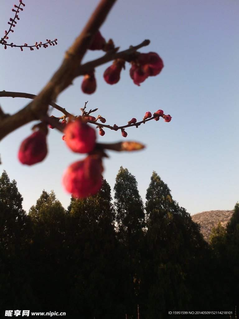 夕阳中的韵味