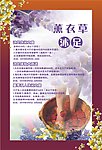 薰衣草沐足海报