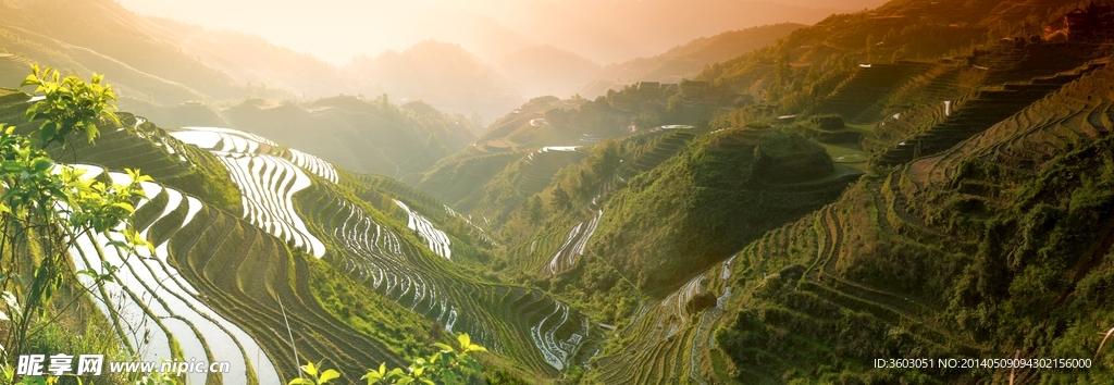 龙脊金坑梯田全景