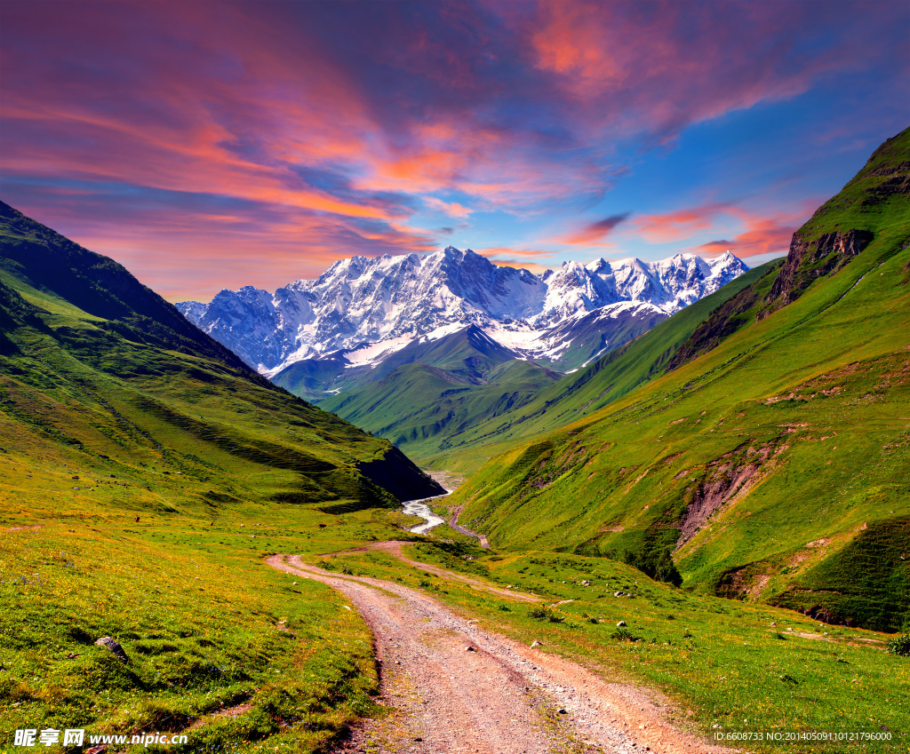 高山自然花草风景风光