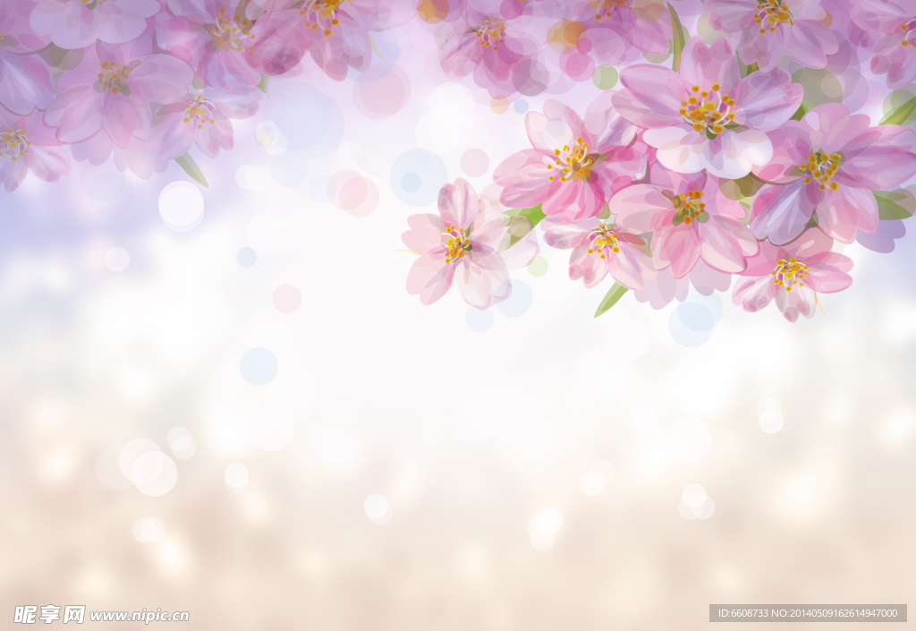 花朵图画