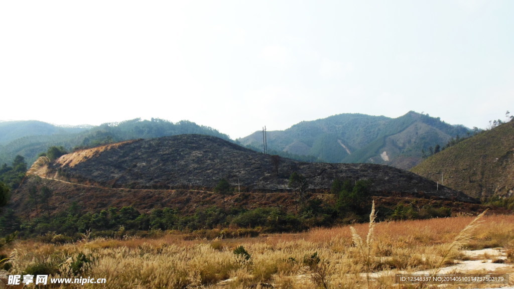 烧后小山
