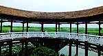 洪湖观莲台