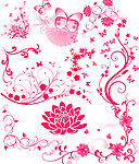 花纹