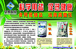 科学用盐 促进健康