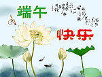 荷花 端午