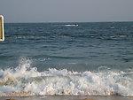 大海