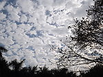 晴空