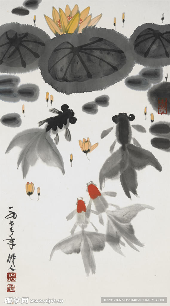 钓鱼荷花
