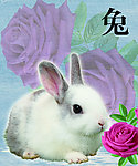 十二生肖 兔
