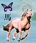 十二生肖 马