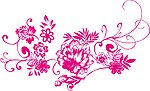 绽放花朵