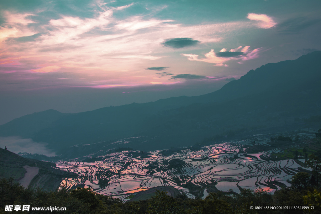 丘陵山间梯田