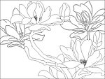 玻璃花纹