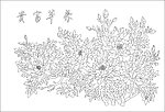 玻璃花纹