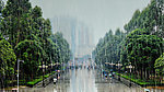 校园雨景