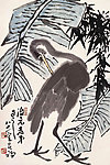 芭蕉鹭鸶