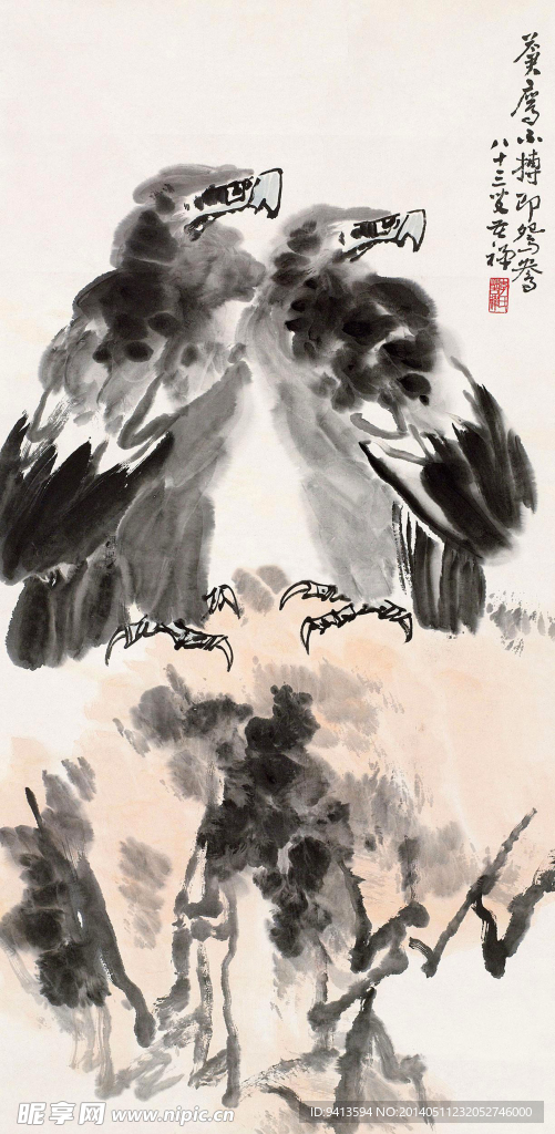 苍鹰