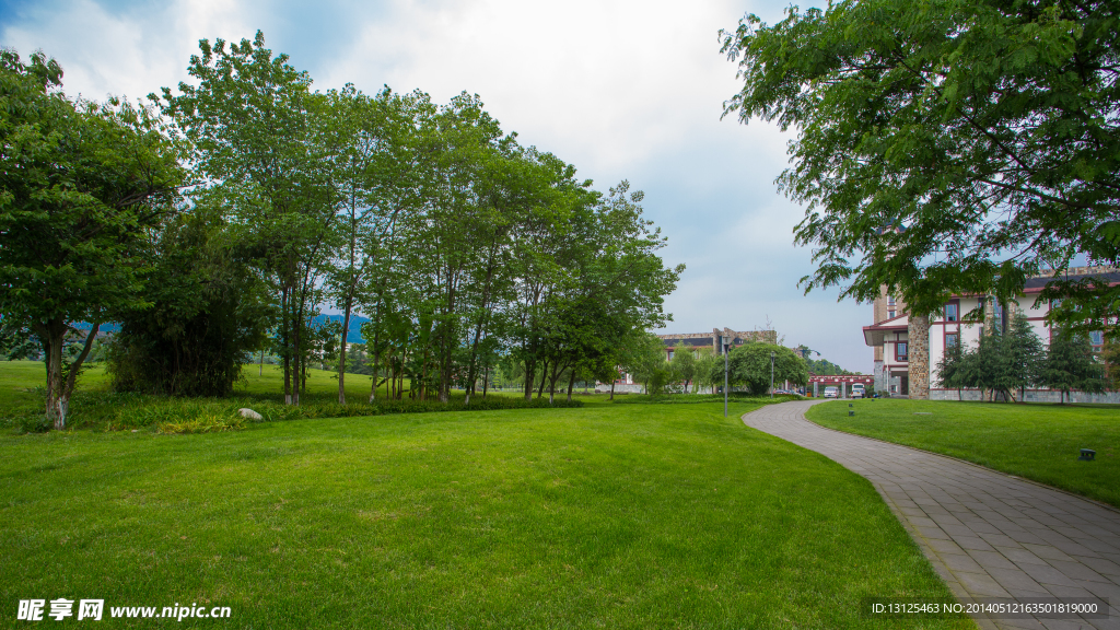 东软学院