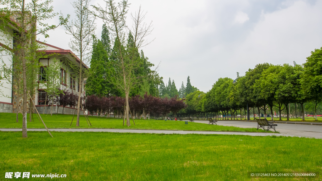 东软学院