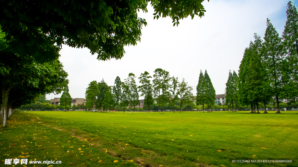 东软学院