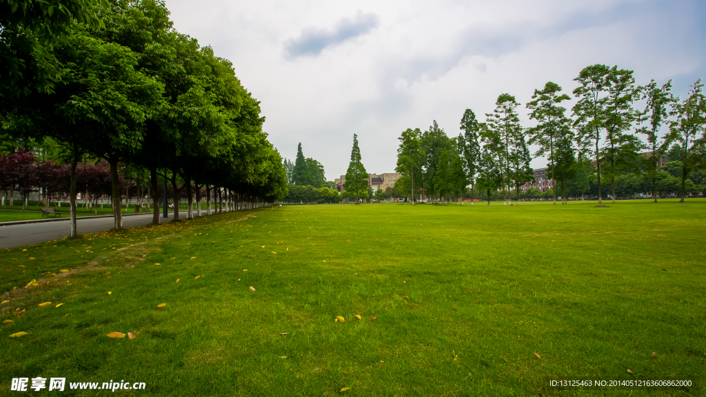 东软学院